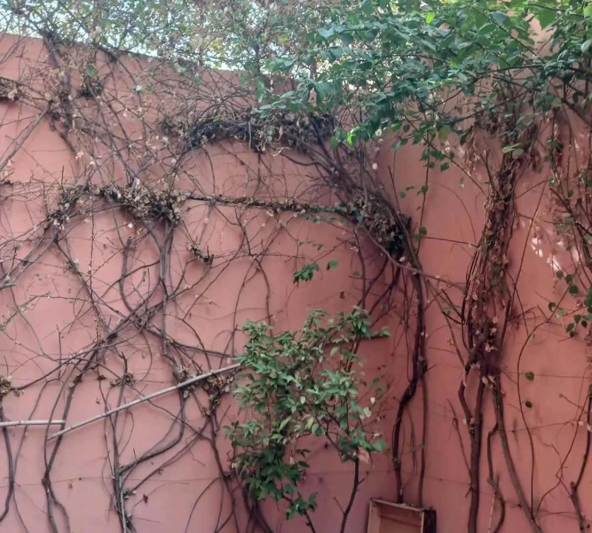 Villa Lmima Malika Marrakesh 0*,